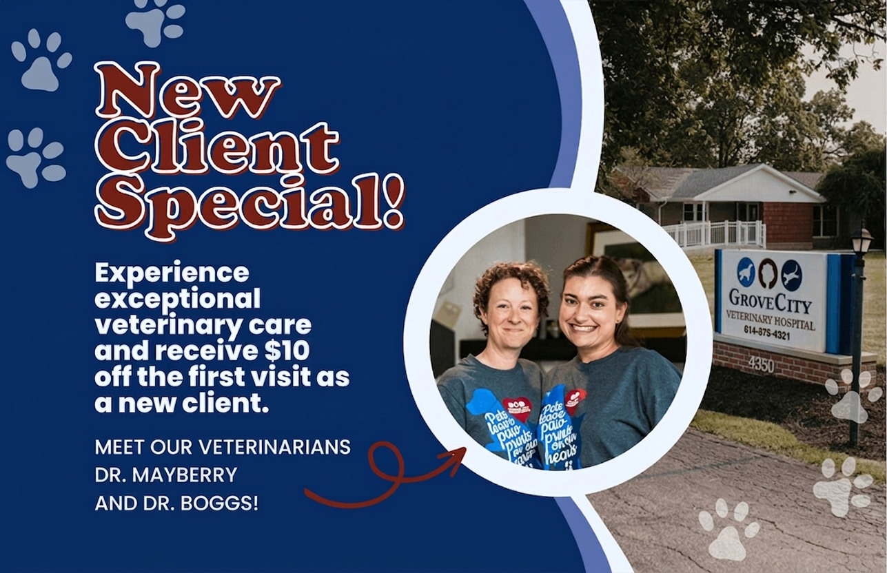 New Client Special: $10 off the first visit as a new client at Grove City Veterinary Hospital